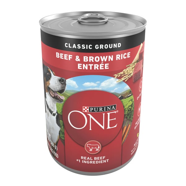 Dog Food & Care Purina ONE Classic Ground Beef and Brown Rice Entree Adult Wet Dog Food hero