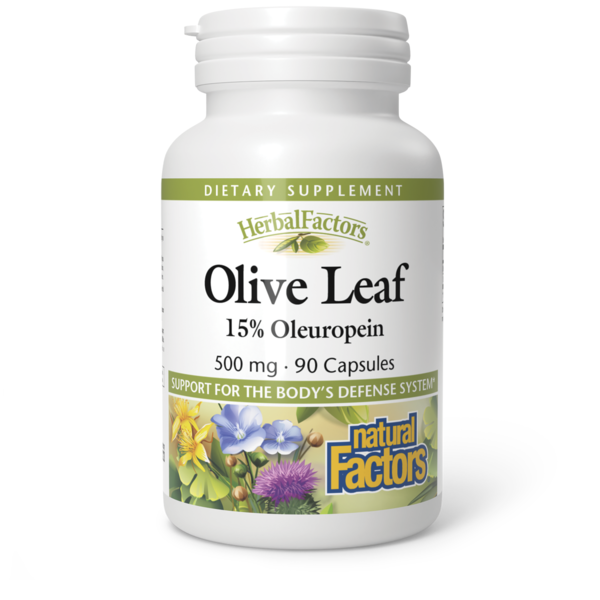 Supplement Combinations Natural Factors Olive Leaf Extract hero