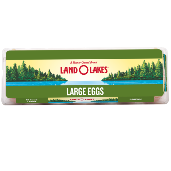 Holiday Items Land O Lakes Large Brown Eggs hero