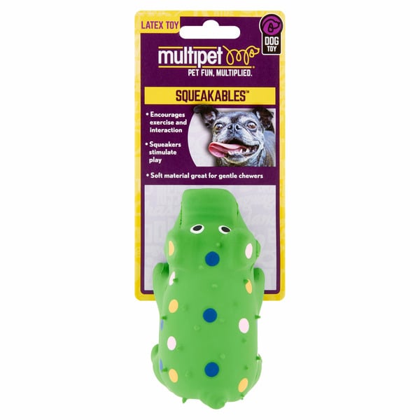 Dog Food & Care Multipet Squeakables Latex Dog Toy hero