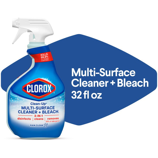 Publix Clorox Clean-Up All Purpose Cleaner with Bleach, Spray Bottle ...