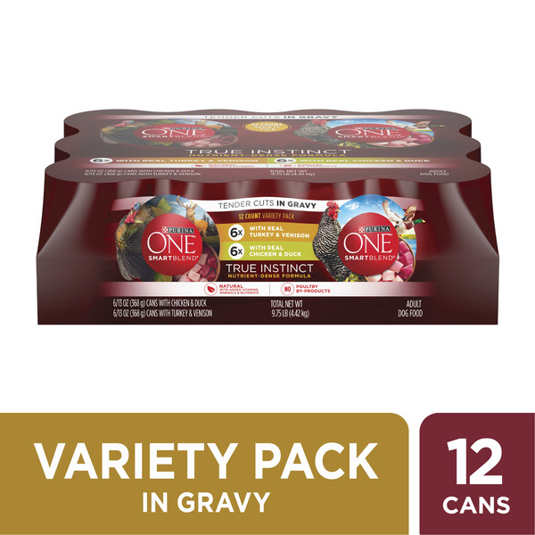 Purina ONE Natural Gravy Wet Dog Food Variety Pack, SmartBlend True Instinct Tender Cuts hero