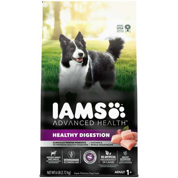 Dog Food IAMS Advanced Health Healthy Digestion Adult Dry Dog Food with Real Chicken hero