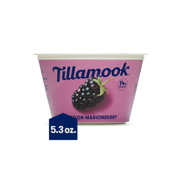 Ice Cream & Ice Tillamook Oregon Marionberry Greek Yogurt hero