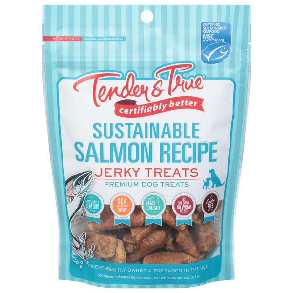 Tender & True Dog Treats, Sustainable Salmon Recipe, Premium, Jerky hero