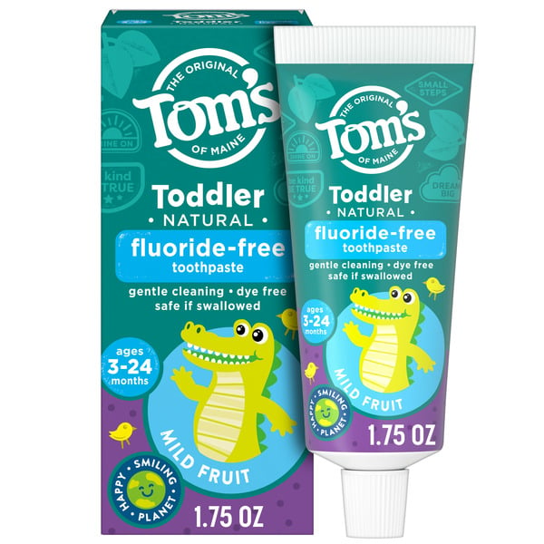 Oral Hygiene Tom's of Maine Natural Fluoride-Free Toddler Training Toothpaste, Mild Fruit hero