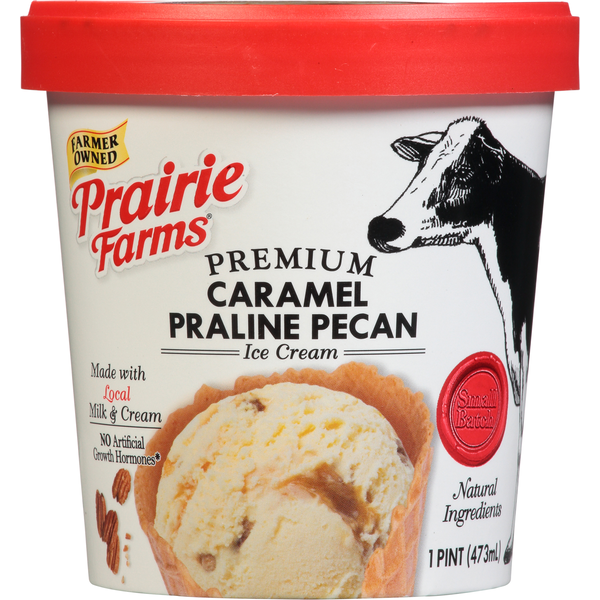 Ice Cream & Ice Prairie Farms Ice Cream, Premium, Caramel Praline Pecan hero