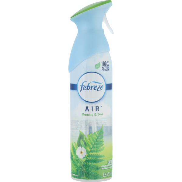 Air Fresheners & Candles Febreze Air Refresher, Morning & Dew hero