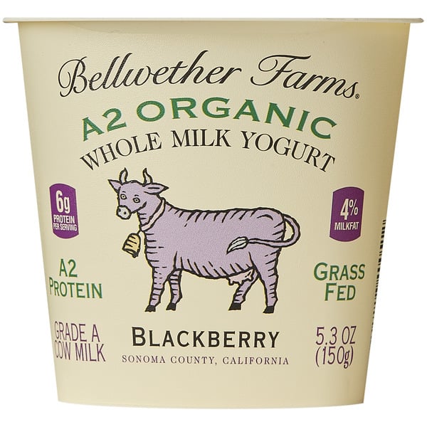 Yogurt Bellwether Farms, A2 Organic Whole Milk Yogurt, Blackberry hero