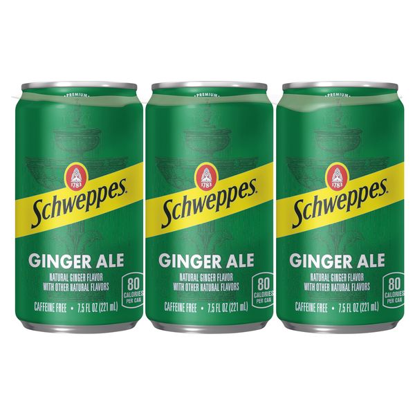 Soda Schweppes Ginger Ale hero