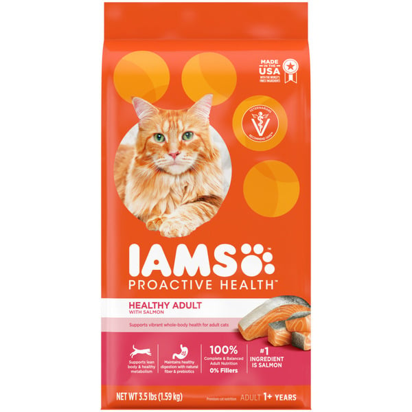 Cat Food & Care IAMS Proactive Health Adult Healthy Salmon Dry Cat Food hero