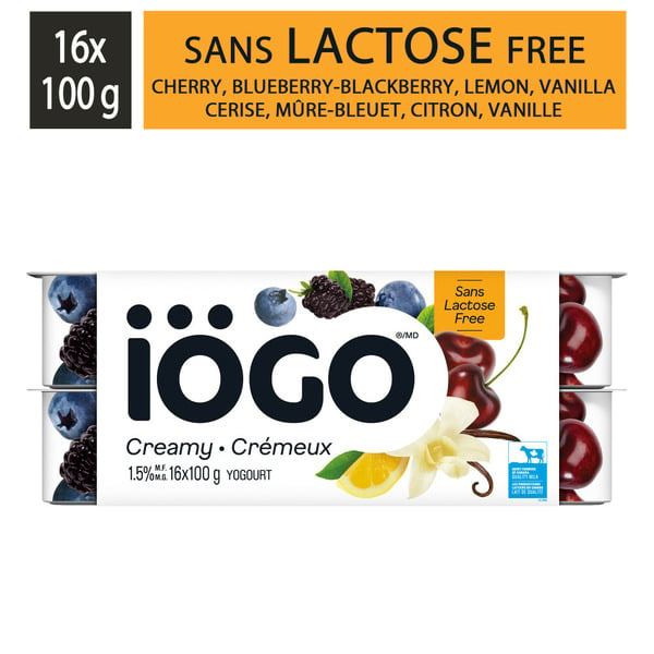 Yogurt iÖGO Lactose Free Cherry, Lemon, Vanilla, Blackberry-Blueberry  1.5% Yogurt hero