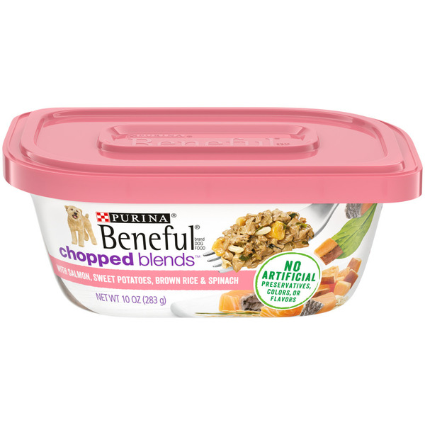 Wet Dog Food Purina Beneful Gravy, High Protein Wet Dog Food, Chopped Blends With Salmon hero