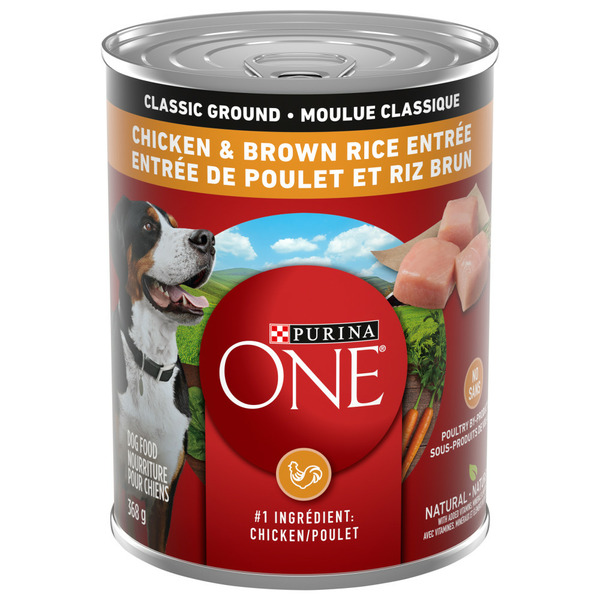 Dog Food & Care Purina ONE Classic Ground Chicken & Brown Rice Entrée hero