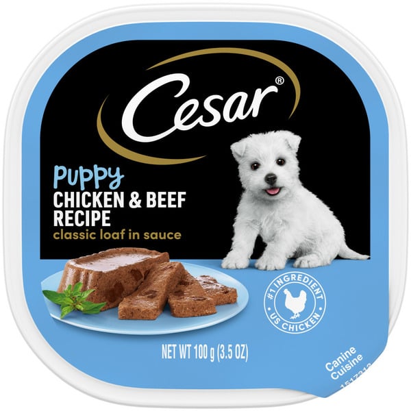 Dog Food & Care Cesar Classic Loaf in Sauce Chicken & Beef Soft Wet Puppy Food hero