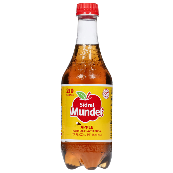 Soft Drinks Sidral Mundet Soda, Apple hero