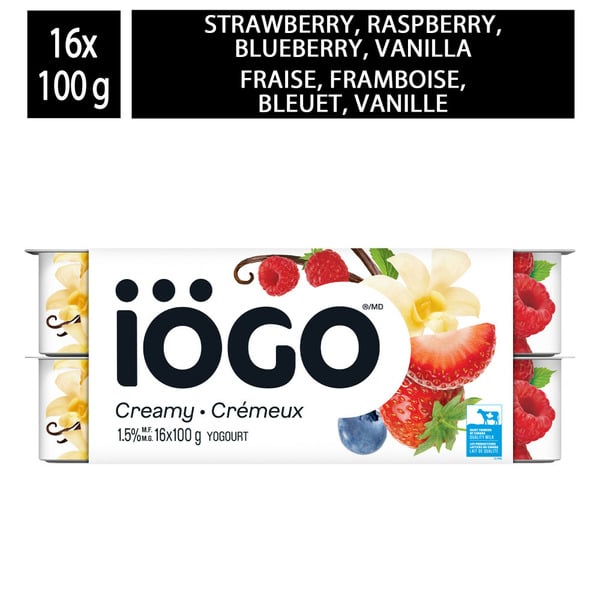 Yogurt iÖGO 1.5% Strawberry, Raspberry, Blueberry, Vanilla Yogurt hero