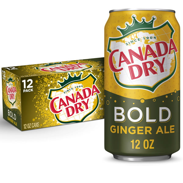 Soft Drinks Canada Dry Bold Ginger Ale hero