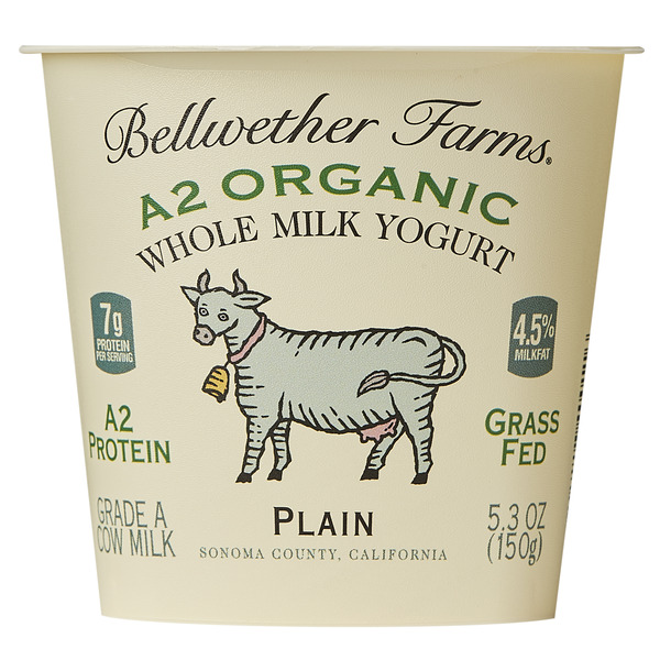 Yogurt Bellwether Farms, Organic Whole Milk Yogurt, Plain hero