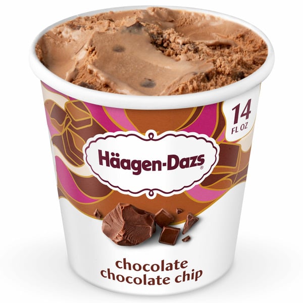 Ice Cream, Novelties & Ice Haagen-Dazs Chocolate Chocolate Chip Ice Cream hero