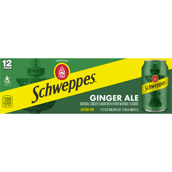 Soft Drinks Schweppes Ginger Ale hero