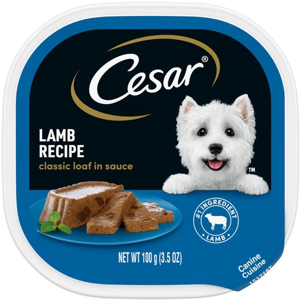 Dog Food Cesar Classic Loaf in Sauce Soft Wet Dog Food Lamb hero