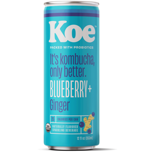 Tea Koe Organic Kombucha, Blueberry Ginger, with Probiotics and Vitamin C hero