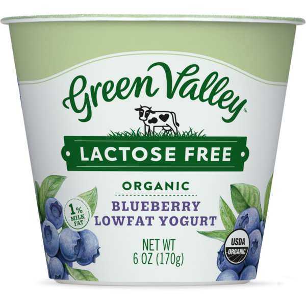 Yogurt Green Valley Yogurt, Lactose Free, Organic, Lowfat, Blueberry hero