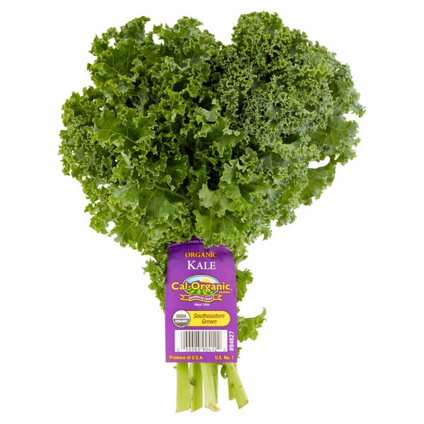 Packaged Vegetables & Fruits Cal-Organic Farms Organic Green Kale Bunch hero