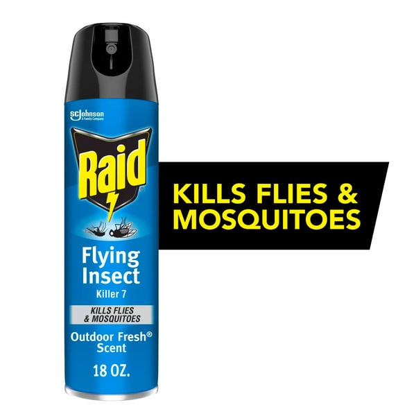 More Household Raid® Flying Insect Killer Insecticide Aerosol Spray, Outdoor Fresh® Scent hero