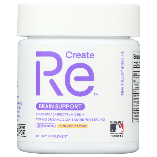 Recreate Brain Support hero