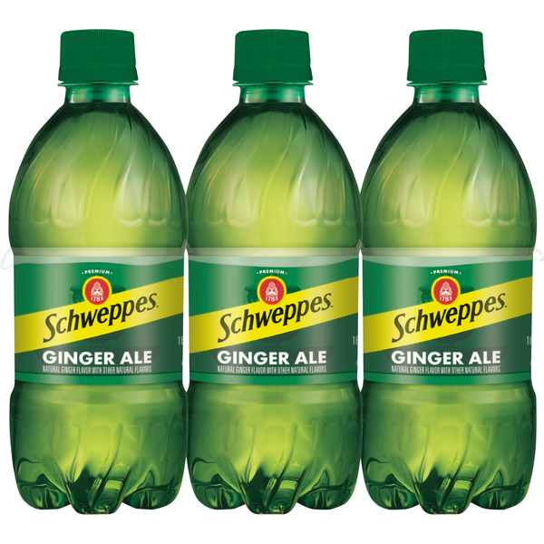 Soft Drinks Schweppes Ginger Ale hero