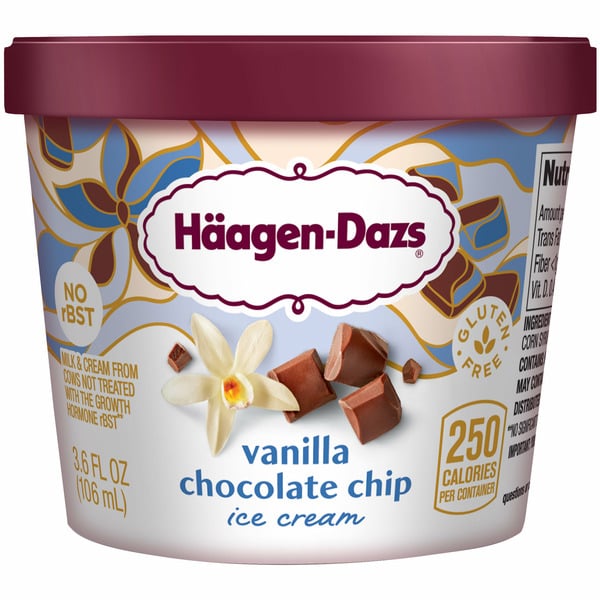 Ice Cream & Ice Haagen-Dazs Vanilla Chocolate Chip Ice Cream hero