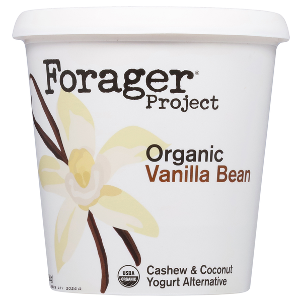 Soy & Lactose-Free Forager Project Cashew & Coconut Yogurt Alt, Dairy-Free, Organic, Vanilla Bean, Probiotic hero