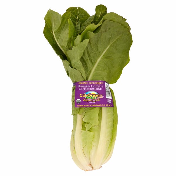 Packaged Vegetables & Fruits Cal-Organic Farms Organic Romaine Lettuce hero