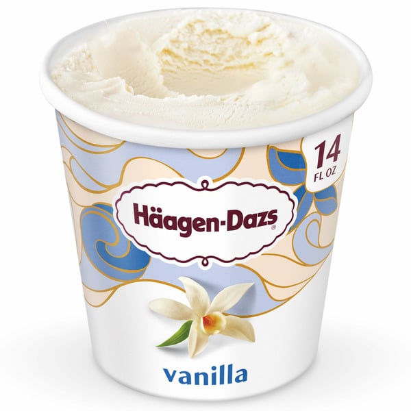 Ice Cream & Ice Haagen-Dazs Vanilla Ice Cream hero