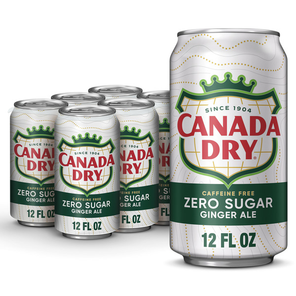 Soft Drinks Canada Dry Ginger Ale hero