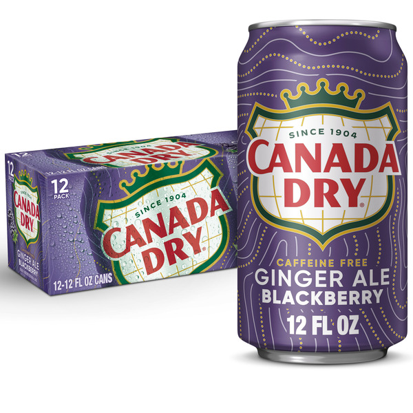 Soft Drinks Canada Dry Blackberry Ginger Ale hero