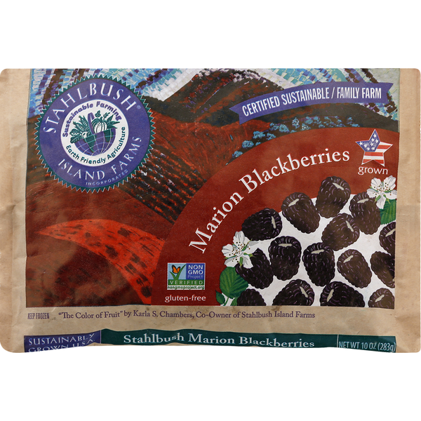 Frozen Produce Stahlbush Island Farms Marion Blackberries hero