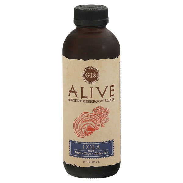 Refrigerated GT's Living Foods Ancient Mushroom Elixir, Cola hero