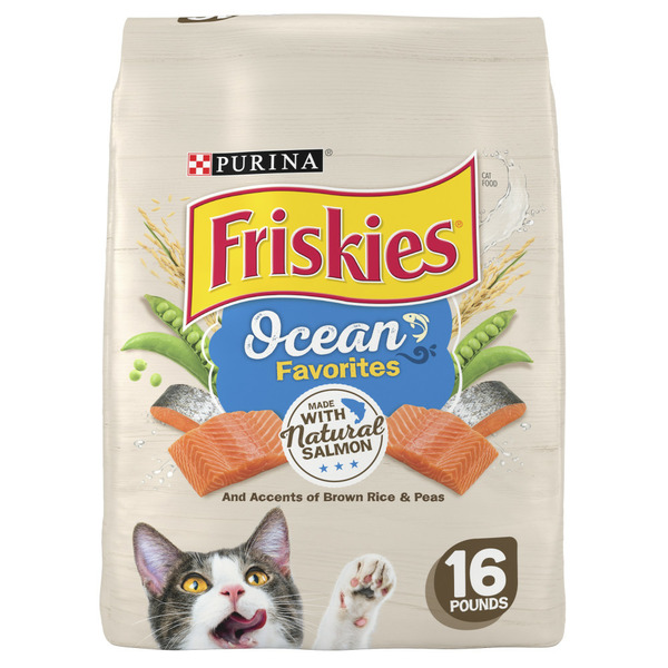 Purina Friskies Dry Cat Food, Ocean Favorites With Natural Salmon hero