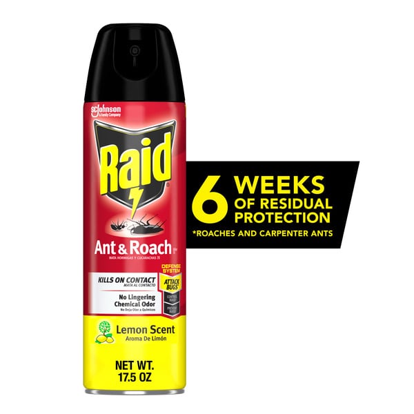 Insect & Pest Control Raid Ant and Roach Killer Aerosol Insecticide, Lemon Scent hero