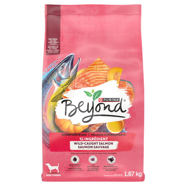 Dog Food & Care Beyond Superfood Blend Wild Caught Salmon, Egg & Pumpkin Recipe hero