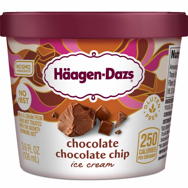 Ice Cream & Ice Haagen-Dazs Chocolate Chocolate Chip Ice Cream hero