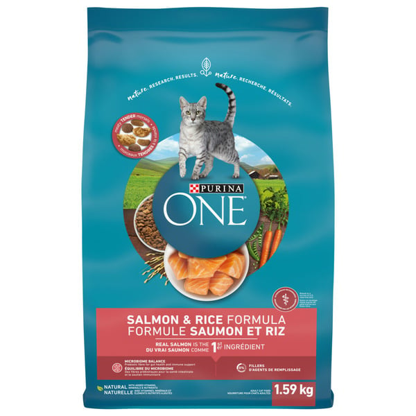 Cat Food & Care Purina ONE Salmon & Rice hero