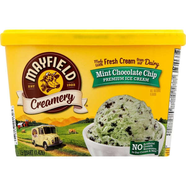 Ice Cream & Ice Mayfield Dairy Farms Mint Chocolate Chip Ice Cream hero