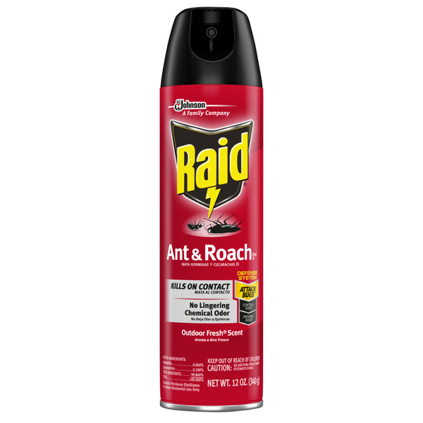 More Household Raid Ant and Roach Killer Insecticide Aerosol Spray, Outdoor Fresh® Scent hero