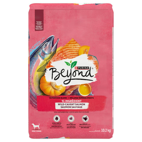 Dog Food & Care Beyond Superfood Blend Wild Caught Salmon, Egg & Pumpkin Recipe hero