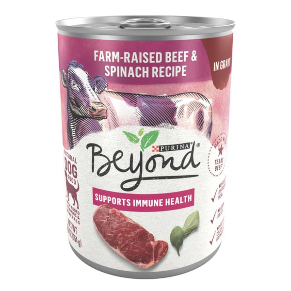 Dog Food & Care Purina Beyond Farm-Raised Beef and Spinach in Gravy Grain Free Wet Dog Food hero