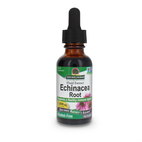 Vitamins & Supplements Nature's Answer Echinacea alcohol free extract hero